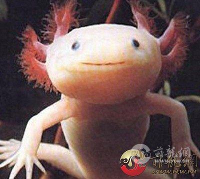 20_155240.jpg