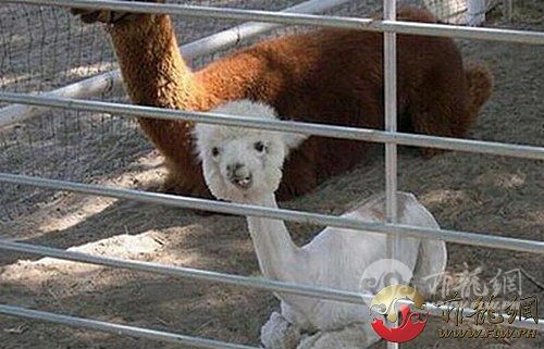 20_155509.jpg