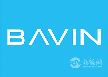 BAVIN-LOGO(1).jpg