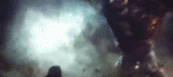 DSC00013.jpg