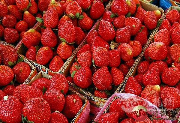 strawberry-benguet.jpg