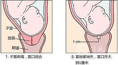 EC2C.tmp.jpg