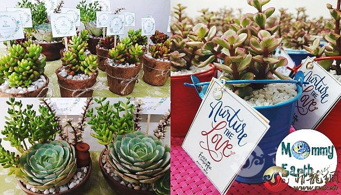 Succulents-Philippines-MommyEarth.jpg