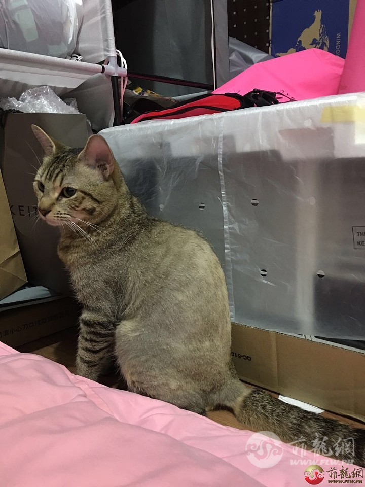 img_cat2.jpg
