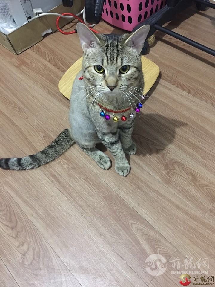 img_cat3.jpg