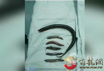 webwxgetmsgimg (1).jpg