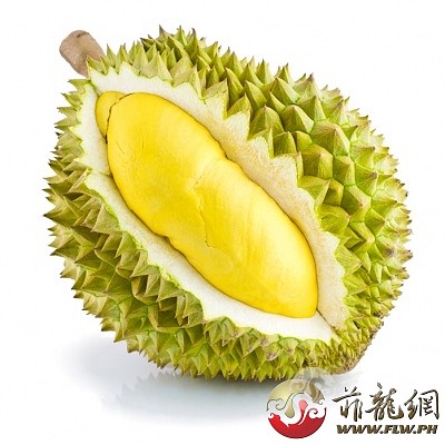 Fresh-Durian.jpg