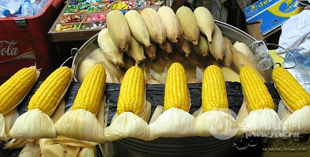 630baltazar_boiled-corn.jpg