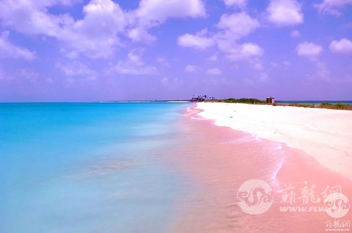 Pink-Sands-Beach-Harbour-Island-Bahamas.jpg