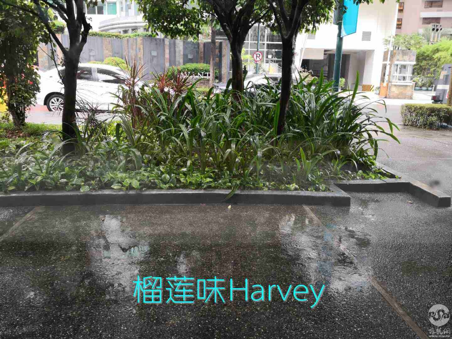 微信图片_20180428175854.jpg