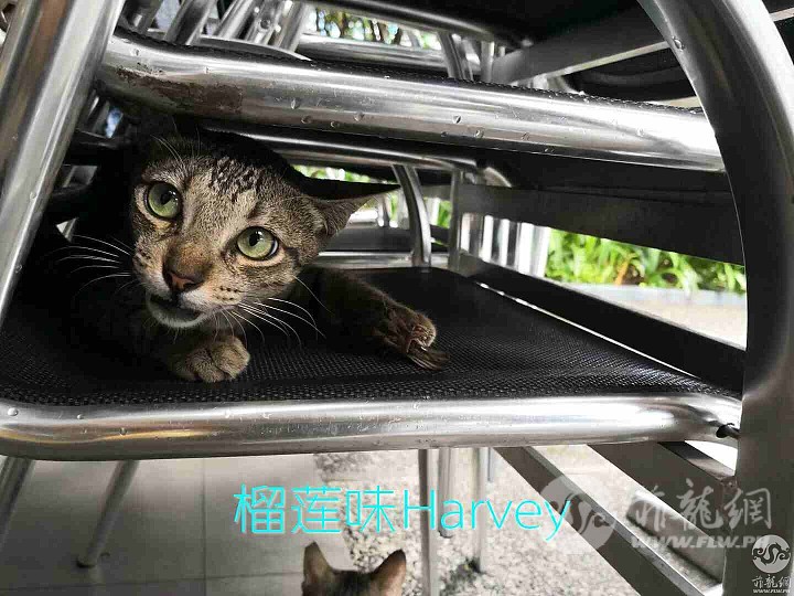 微信图片_2018042817582910.jpg