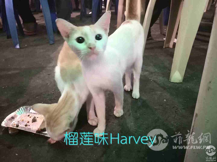 微信图片_2018042817582912.jpg