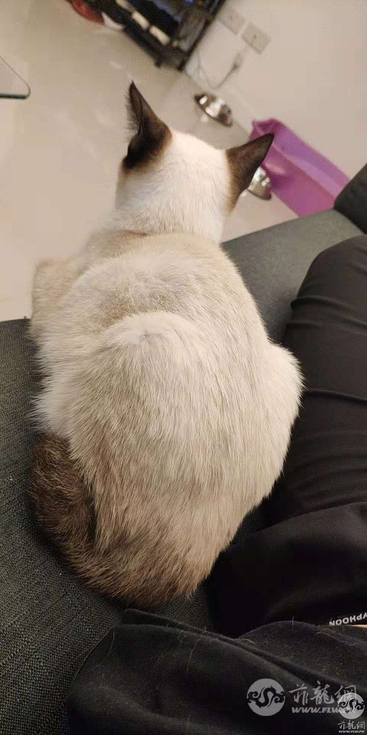 微信图片_20181003013724.jpg