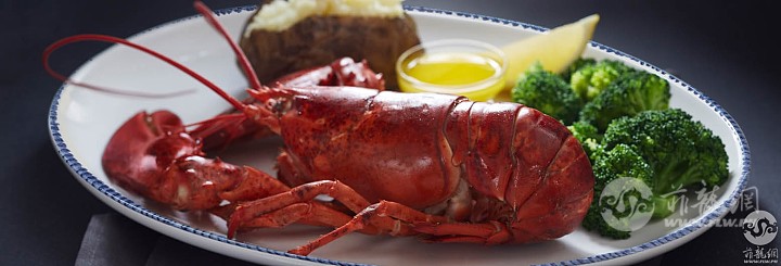 live-maine-lobster.jpg