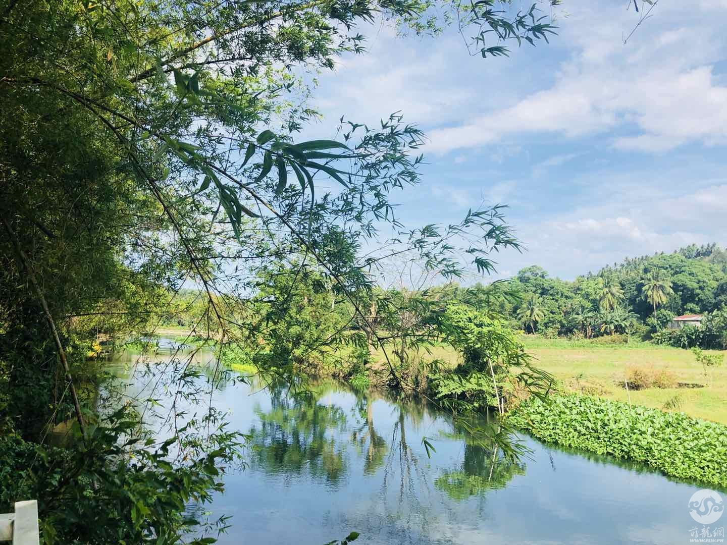 BBQ的河边
