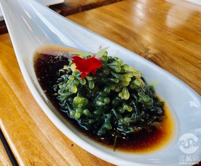 开胃菜：爽口海藻