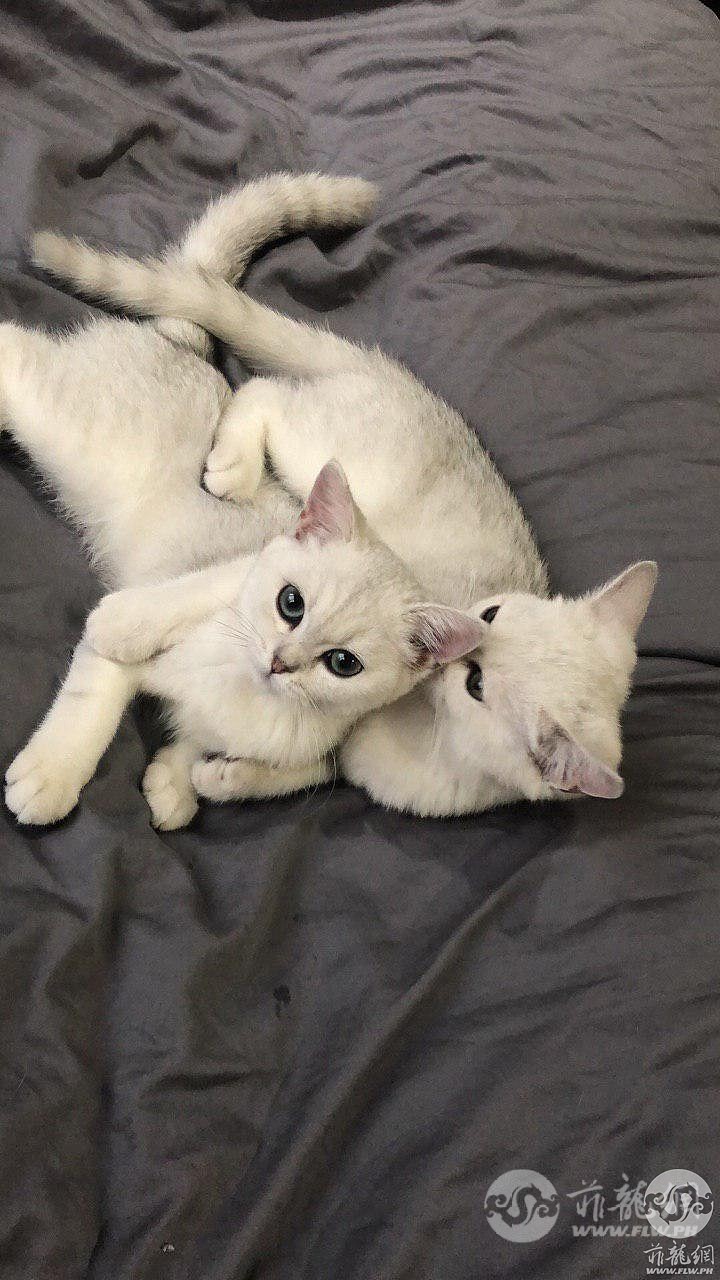 photo_2019-10-23_12-32-54.jpg