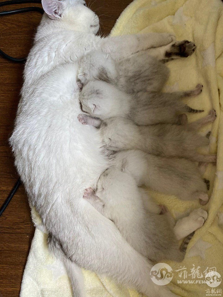 photo_2019-10-23_12-32-58.jpg