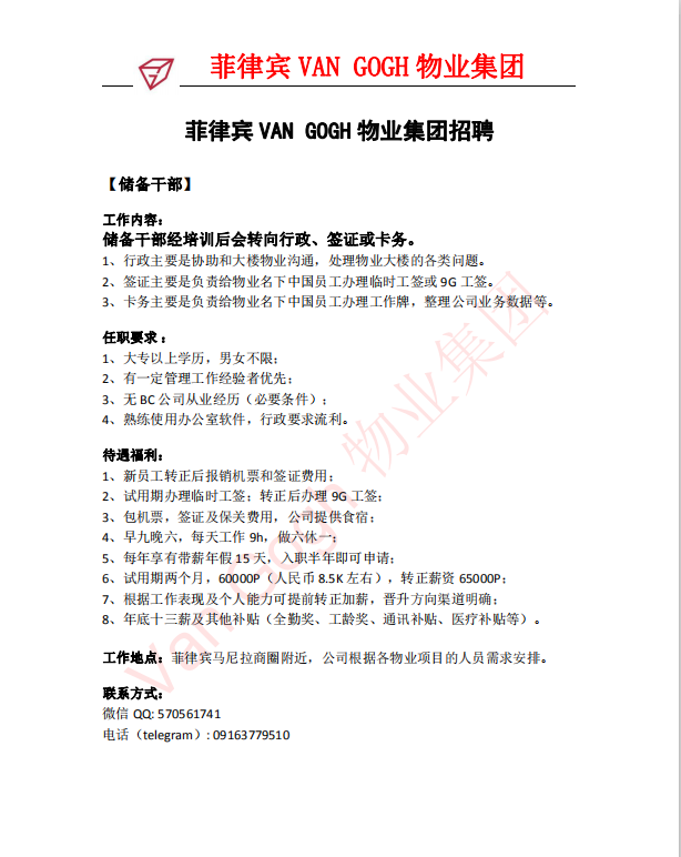 储备招聘.png