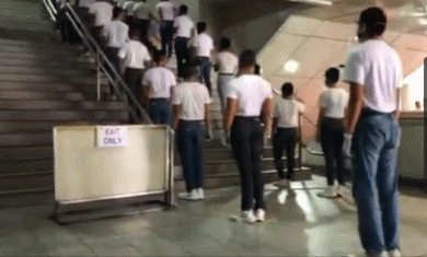 DSC00013.gif