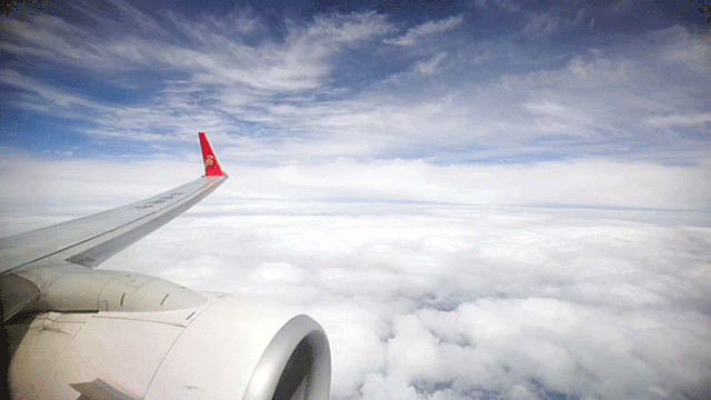 DSC0006.gif