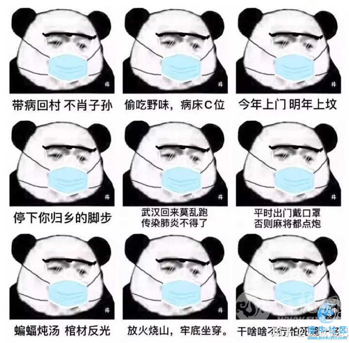 DSC0007.png