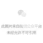 DSC0002.png