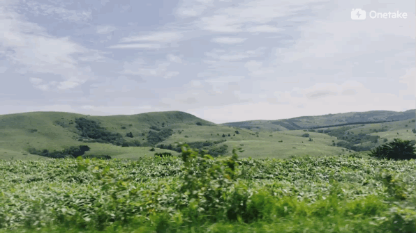 DSC0007.gif