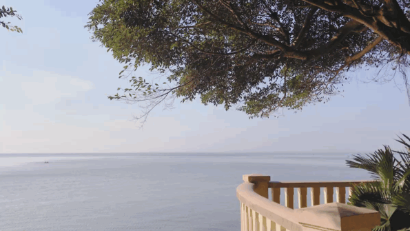 DSC0005.gif