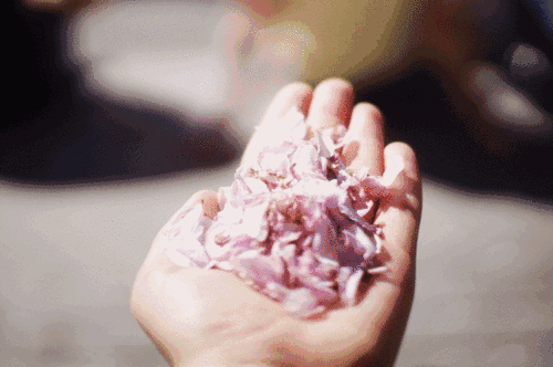 DSC0005.gif