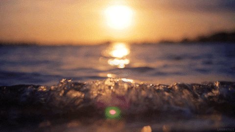 DSC0007.gif