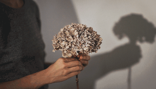 DSC0008.gif