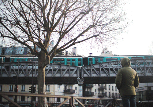 DSC0009.gif