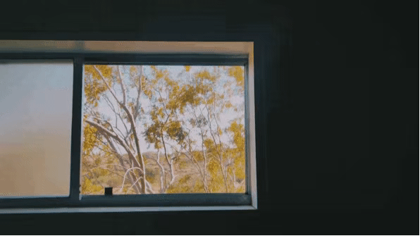DSC00010.gif