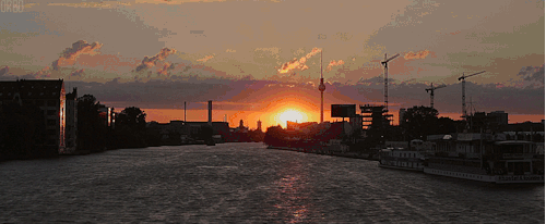 DSC00013.gif