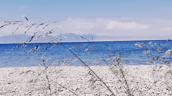 DSC00011.gif