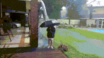 DSC00011.gif