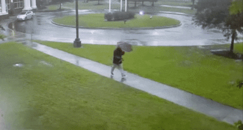 DSC00014.gif