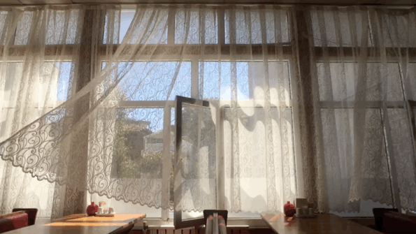 DSC00011.gif