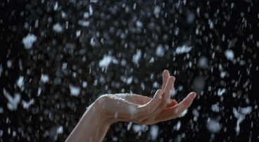 DSC00012.gif
