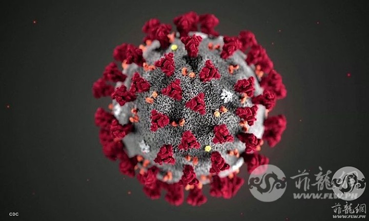 Coronavirus_CNNPH.jpg