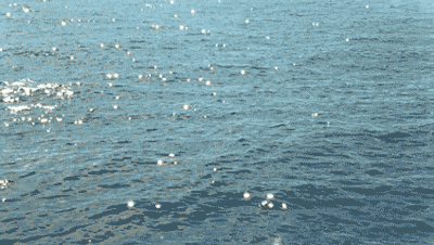 DSC0008.gif