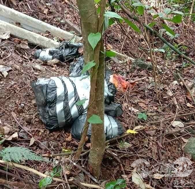 WeChat Image_20210113074334.jpg