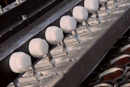 DSC0005.gif