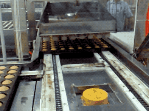 DSC00011.gif