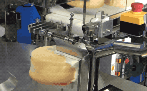 DSC0009.gif
