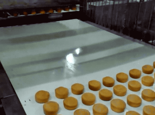 DSC00012.gif