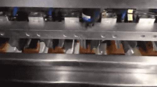 DSC00015.gif