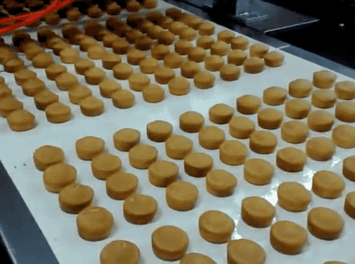 DSC00014.gif