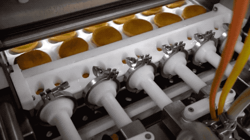 DSC00017.gif